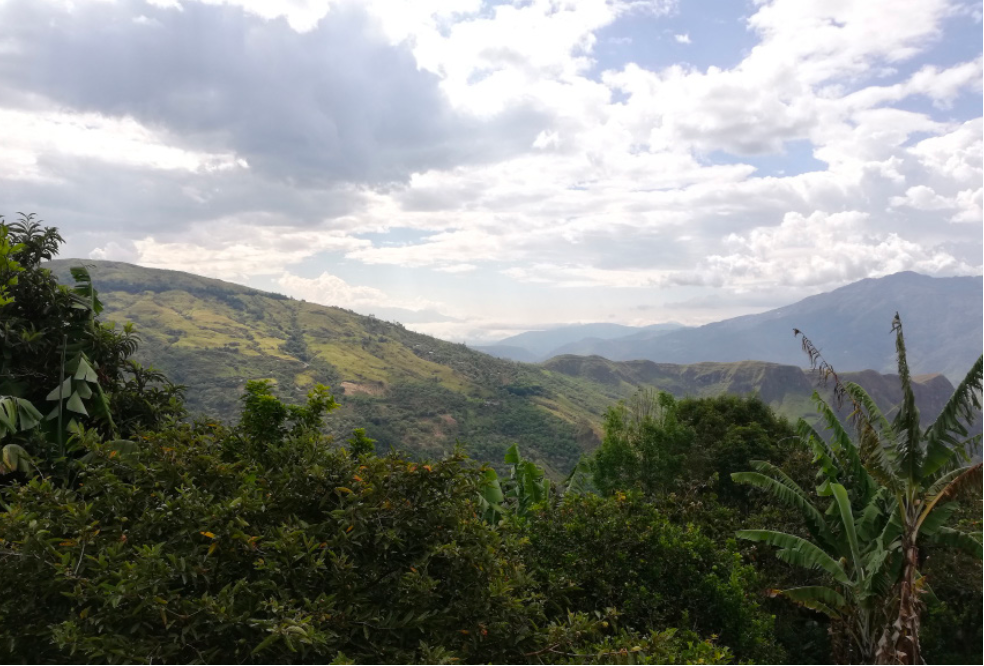 Colombia San Antonio | filter