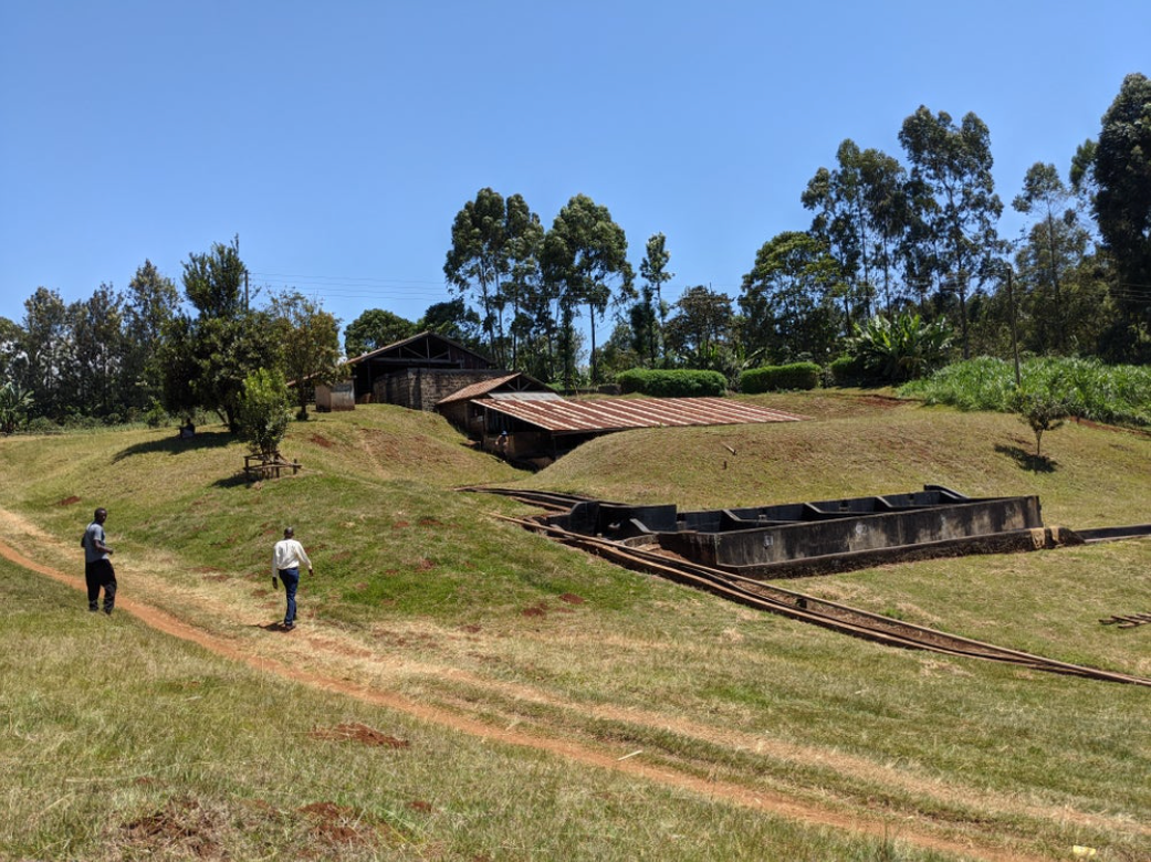 Kenya Kiawamururu AA | filter