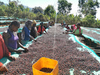 Ethiopia Danse Mormora | espresso